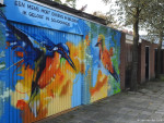 graffiti Krikkenstraat